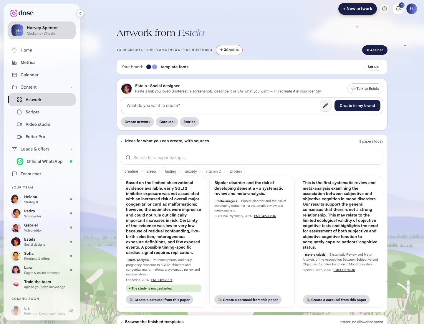 Artwork screen with the credit balance, the Your brand strip and the request box for Estela